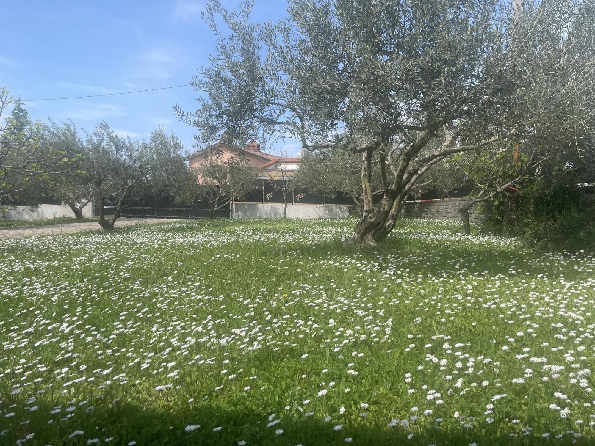 Paradise Villas With Swimming Pool Koper Cameră foto